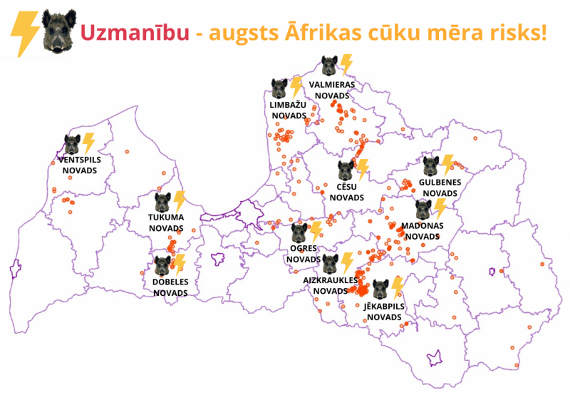 Latvijas karte ar novadiem, kur ir augsts Āfrikas cūku mēra risks