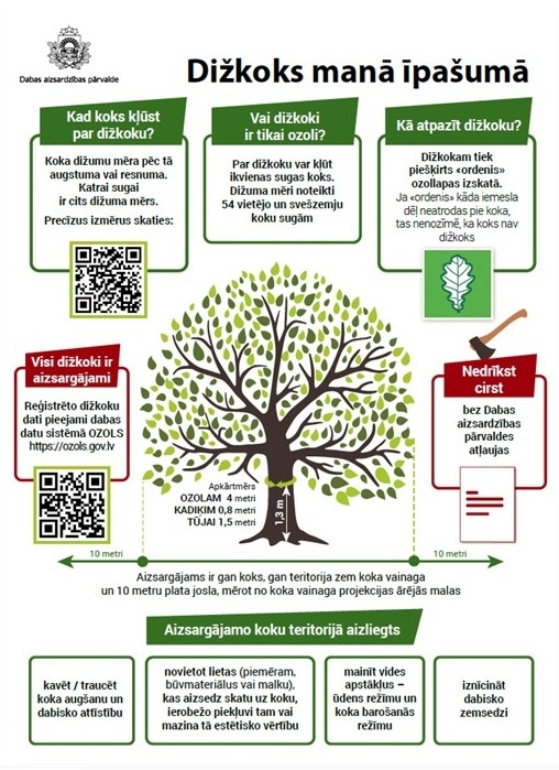 Dižkoks manā īpašumā infografika