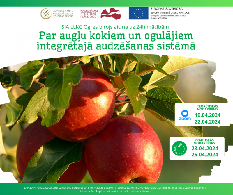 Afiša: SIA LLKC Ogres birojs aicina uz 24h mācībām “Par augļu kokiem un ogulājiem integrētajā audzēšanas sistēmā"
