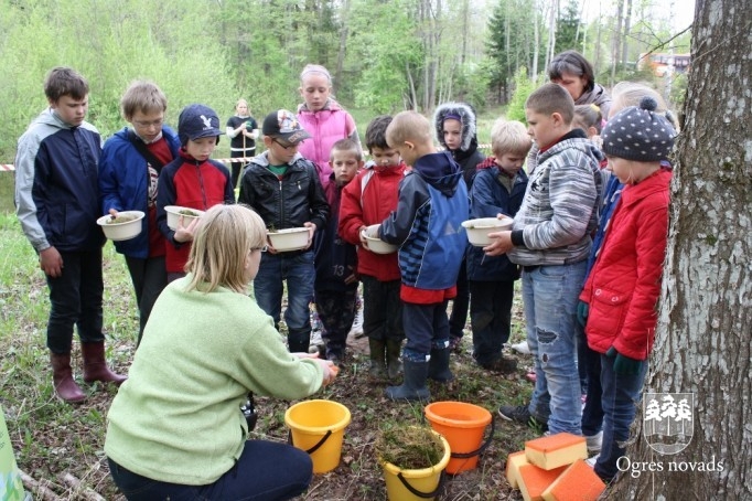 Skolēni atklāj meža noslēpumus