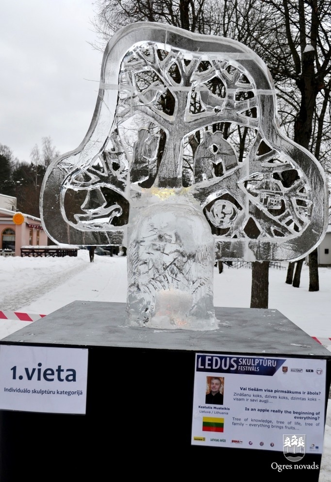 14. Ledus skulptūru festivāla mākslas darbi Ogrē