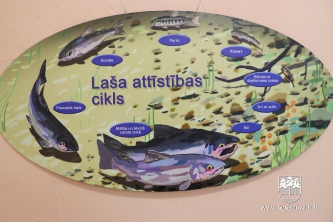 Madlienas bibliotēkā interaktīva izstāde par zivīm