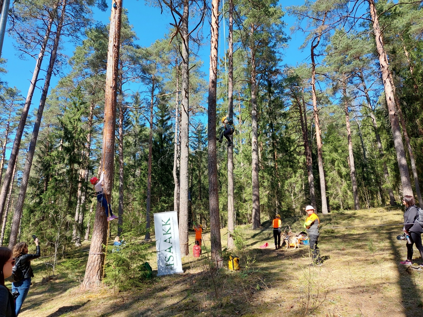Pasākums "Mežs - veselībai" (22.04.2023) arboristi