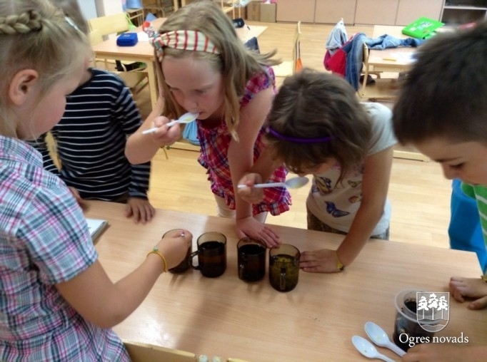 Ogres sākumskolā aizvadīta vides izglītības dienas nometne „3D – Domājošs dabas draugs”