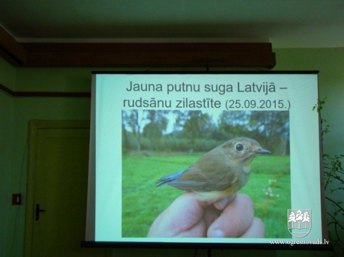 Putnu diena Ciemupē varēja tikties ar ornitologu Dmitriju Boiko