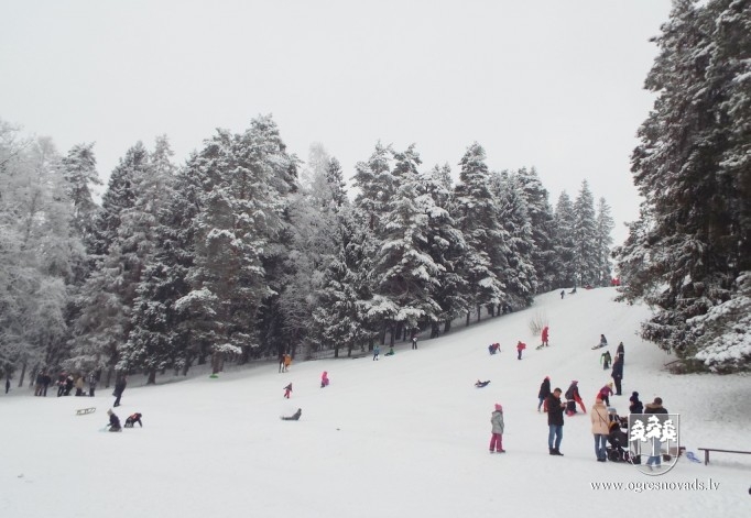 Ziemas prieki Pasaules Sniega dienā Ogrē