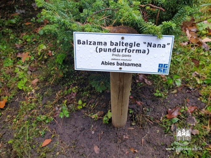 Pašvaldības darbinieki piedalās labiekārtošanas darbos Špakovska parkā