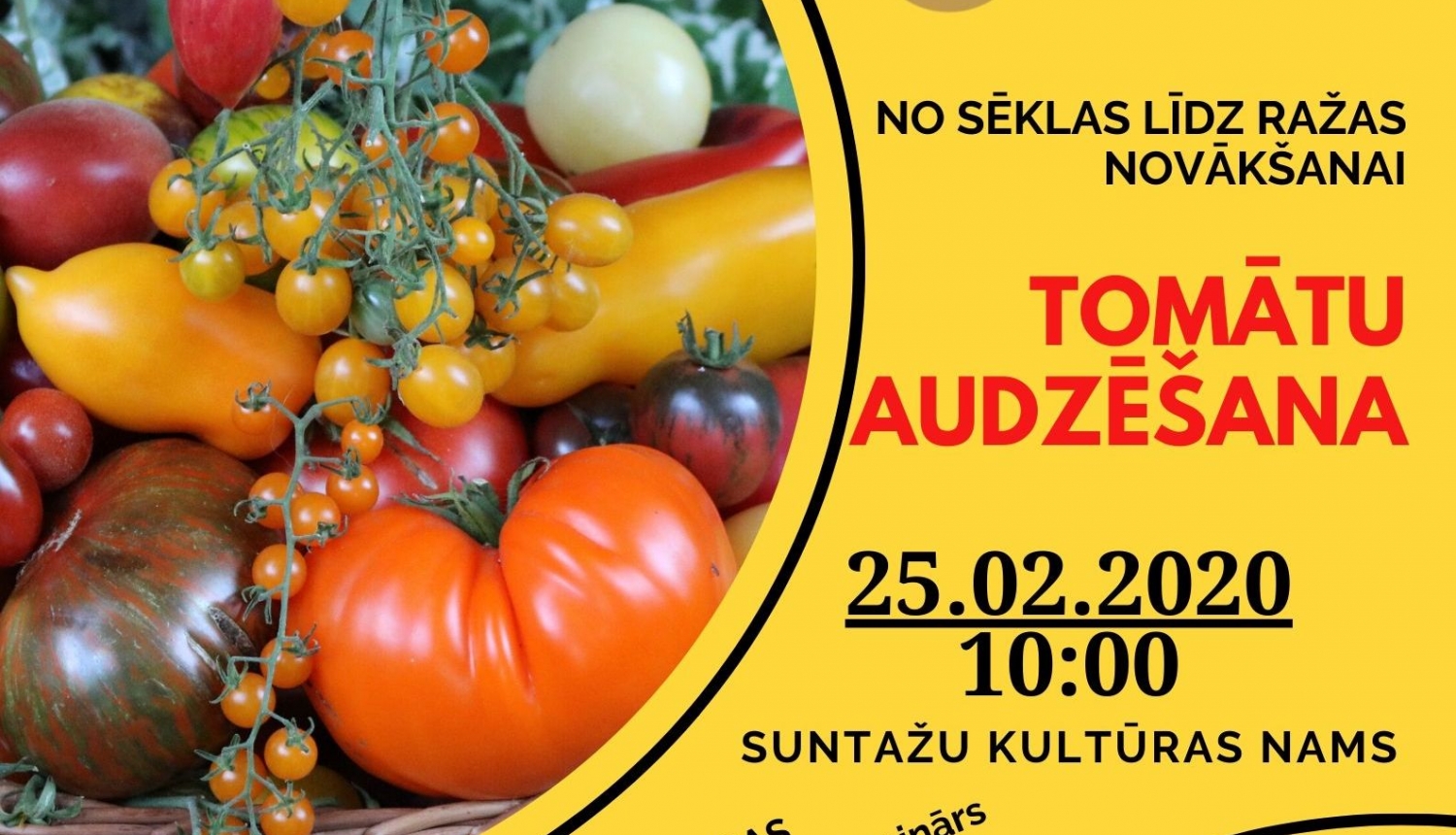 LLKC aicina uz informatīvu bezmaksas semināru par tomātu audzēšanu